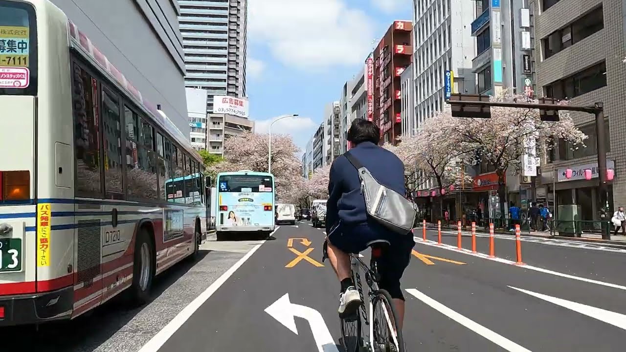 TOKYO Sakura Bike Ride along Nakano Avenue | Japan 4K ASMR