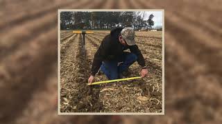 SoilWarrior #2017