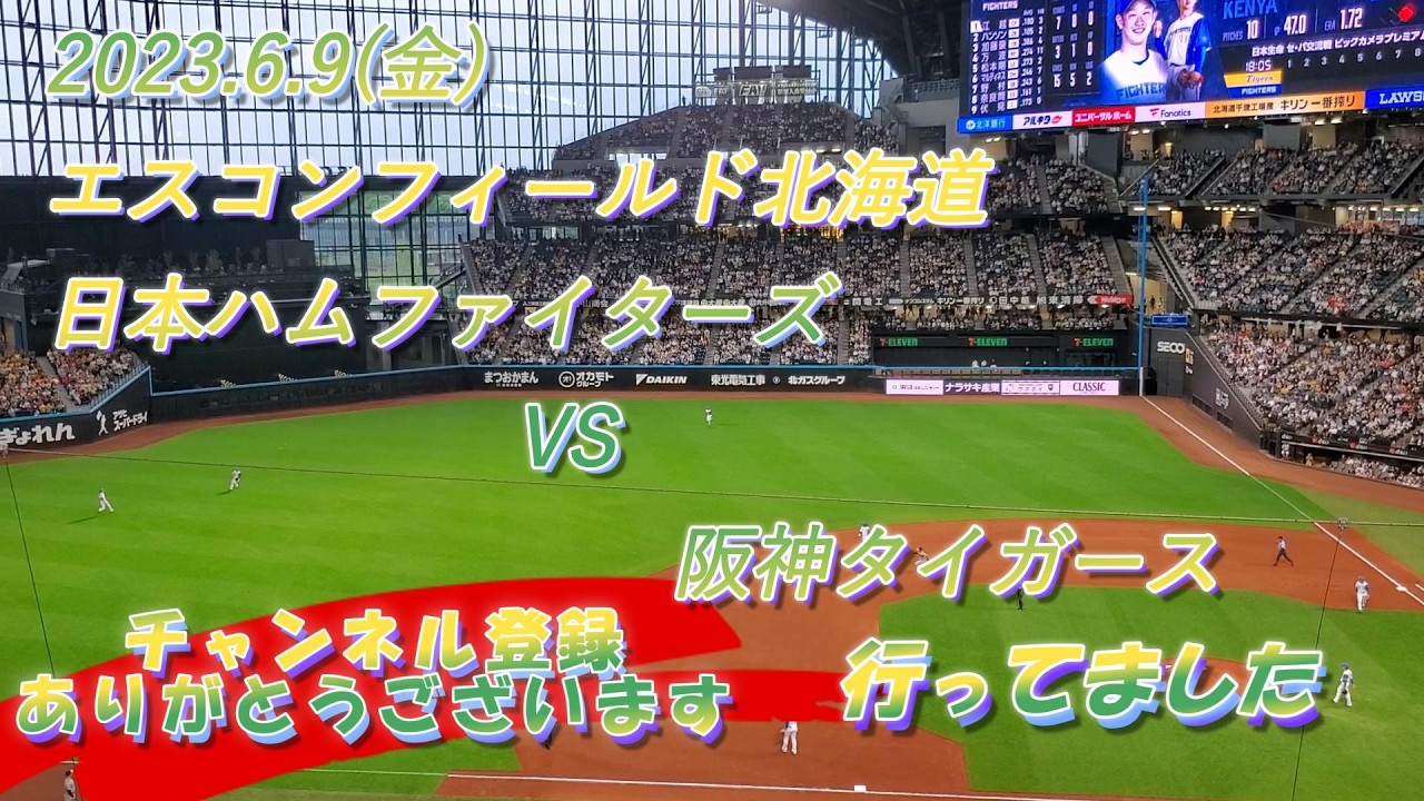 エスコンフィールド北海道・日本ハムvs阪神・交流戦に行ってきました。