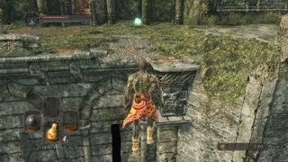 Dark Souls 2 SOTFS parry glitch ps4