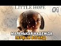 The Dark Pictures : Little Hope #1 Маленькая надежда (первый взгляд)