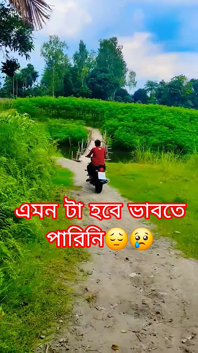 yamaha 250 cc power