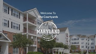 Courtyards at UMD Amenities