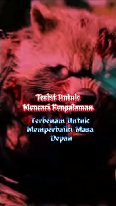 #motivasi