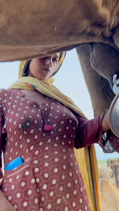 Desert life in india #traditional #villagelife #india