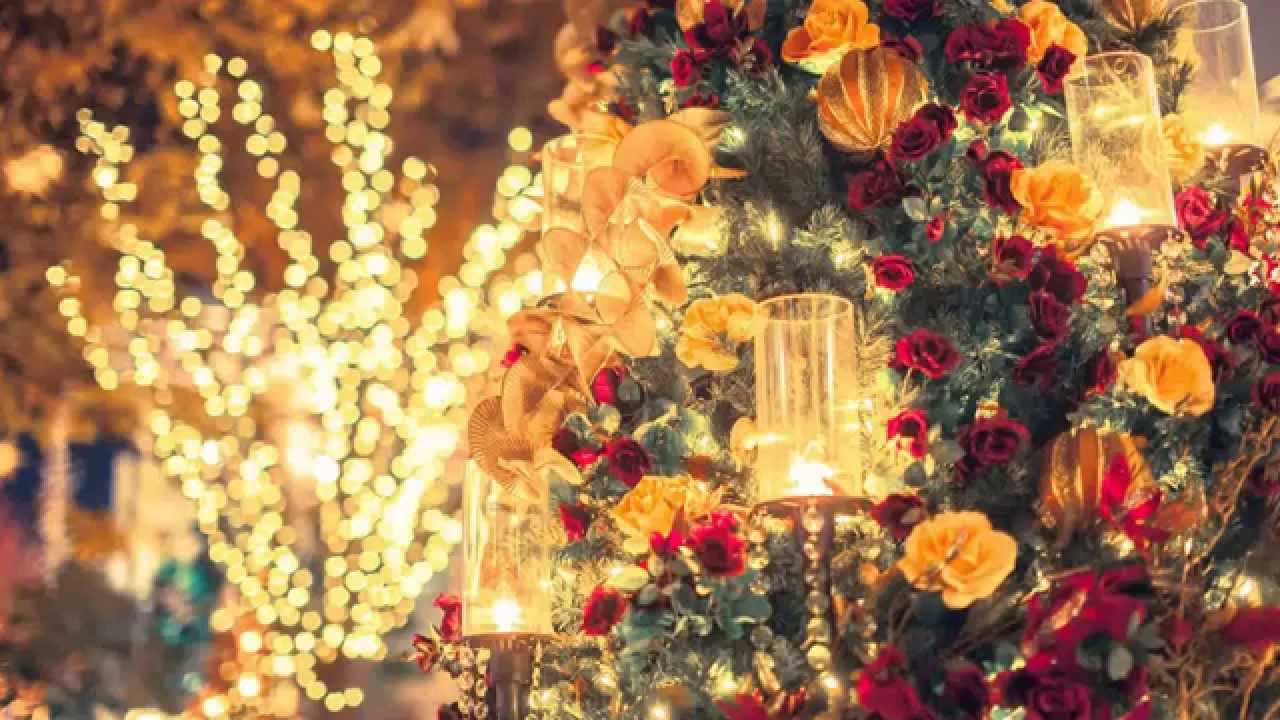 讃美歌 ひいらぎ飾ろう マッケルヴィー編 ナクソス クラシック キュレーション 特別編 クリスマス Youtube 讃美歌 ひいらぎ飾ろう マッケルヴィー編 ナクソス クラシック キュレーション 特別編 クリスマス Youtube