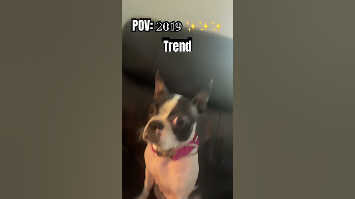 POV : 2019 trend 🥶💀 #funny #pets #comedyvideos #shorts