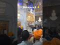 Sukhasan guru granth sahib ji 🙏 gurudwara shaheed ganj sahib ji #blessing #waheguru #satnamvlogs