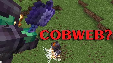 Mace PVP Has No More Counter...