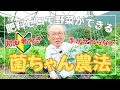 土も人も地球も元気に!菌ちゃん農法の魅力