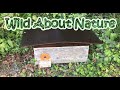 DIY Bumble Bee Nest - All Or Nothing! :) DIY Bumble Bee Nest - All Or Nothing! :)