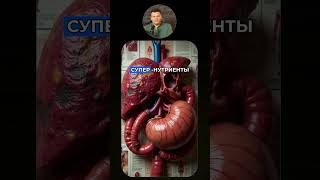 ТОП-5 вещей, мешающих восстанавлению