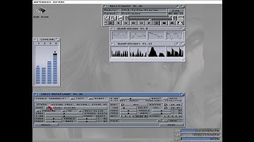 14bit noteplayer. Software DSP effects in real Amiga A1200