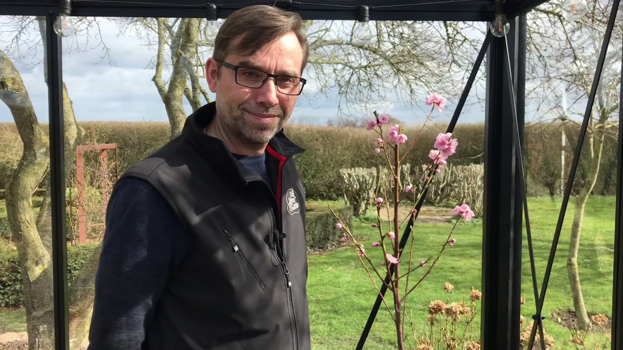 Selv bestøvning af planter