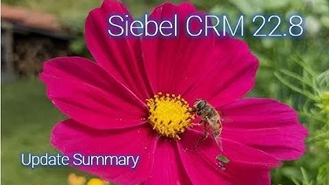 Siebel CRM 22.8 Update Summary - Standardsize Me