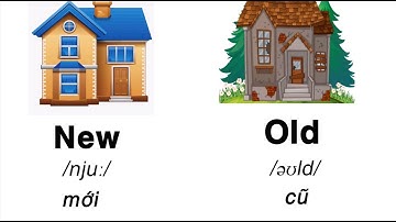 Tiếng Anh lớp 3 - Unit 7: That