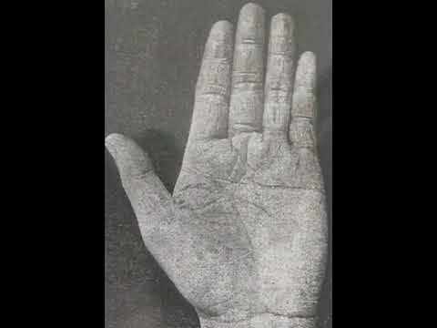 永井柳太郎の手相 YouTube