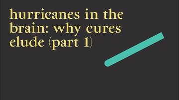 6. Hurricanes in the Brain: Why Cures Elude