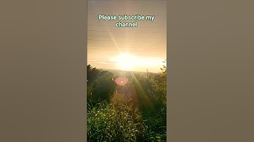 Beautiful Nature scene #nature #subscribe