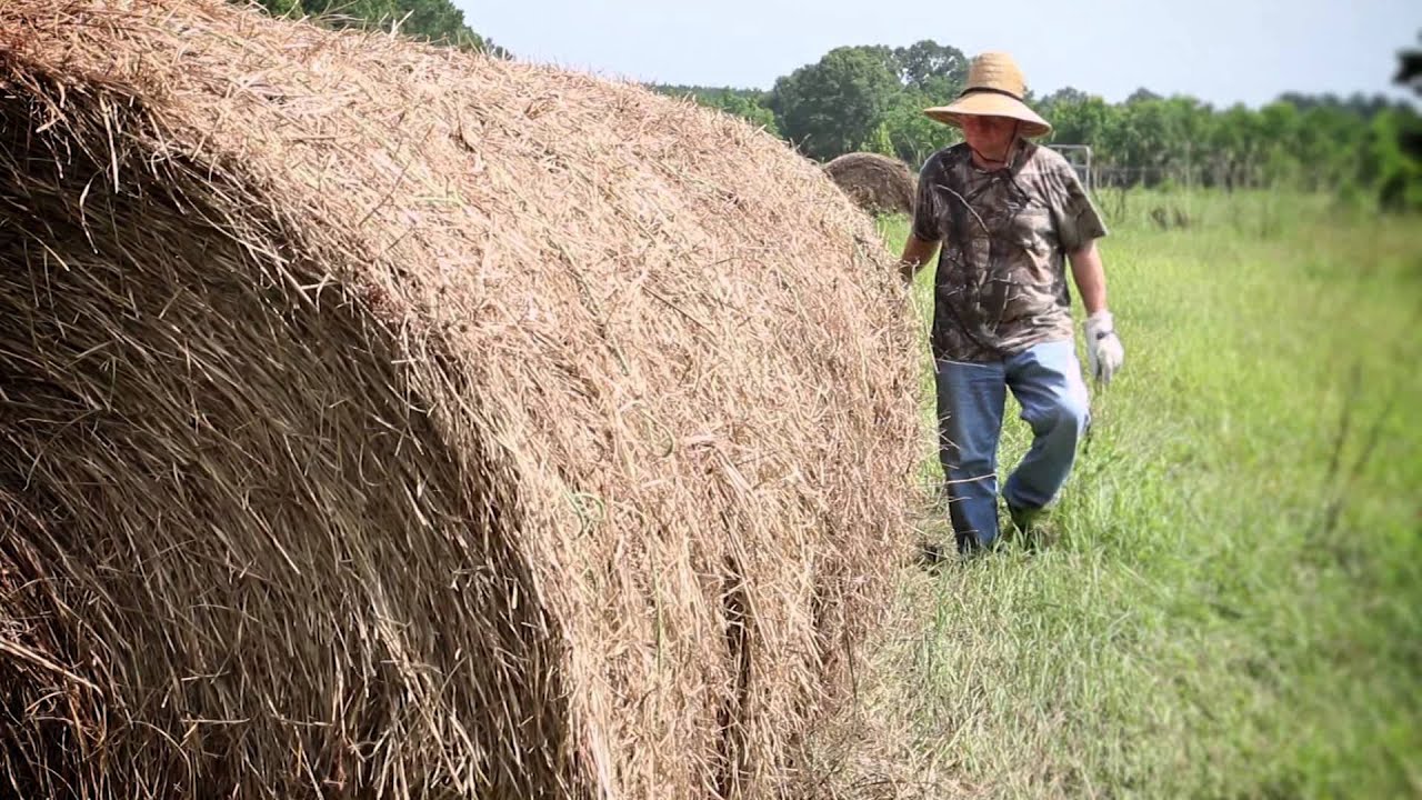 Diagnostic Health & Injury - YouTube