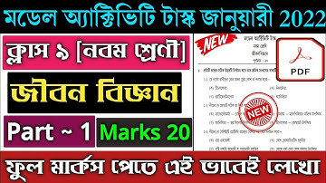 Class 9 Life Science Model Activity Task Part 1 January | Model Activity Task January 2022 Class 9