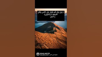 سورة النمل #قران_كريم #قرآن #تلاوة_هادئة #تلاوة_خاشعة #تلاوات_خاشعة #سورة_النمل