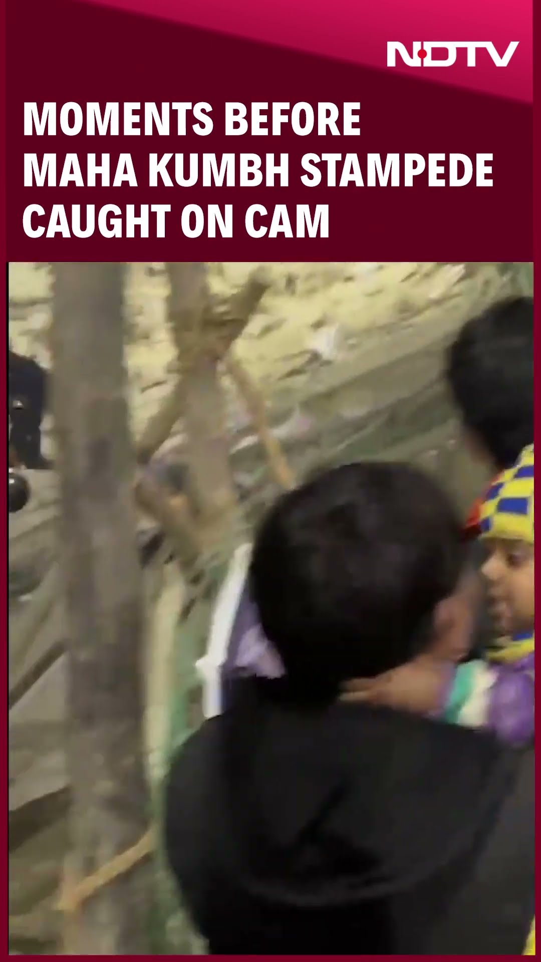 Maha Kumbh Stampede Latest | Moments That Led To Chaos Caught On Cam | Mauni Amavasya