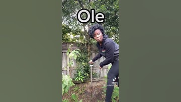 Lesson on how to speak like a Jamaican #shorts