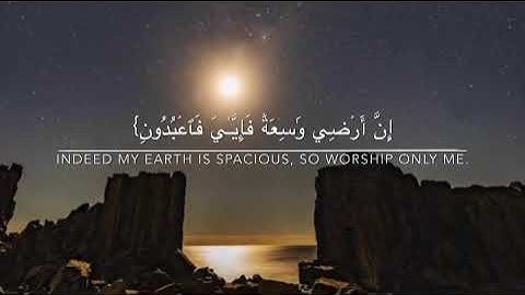 سورة العنكبوت آية 56,57 (يَٰعِبَادِيَ ٱلَّذِينَ ءَامَنُوٓاْ إِنَّ أَرۡضِي وَٰسِعَةٞ)