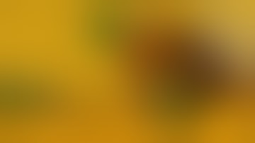 Thumbnail of Murder Hornet Nightmare, Honey Bees Under Attack Animation.