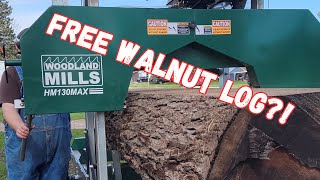 Did I really get a free Walnut log to process on my Woodland Mills HM130 Max? by Timber Visions 671 views 10 days ago 27 minutes