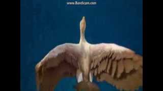 Freederm Goose 30 sec ad