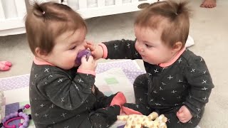Twin Babies Fight Over Pacifier