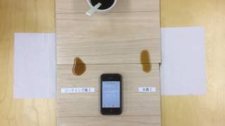 ペットコーティング 【染み込みテスト】／シートフローリング