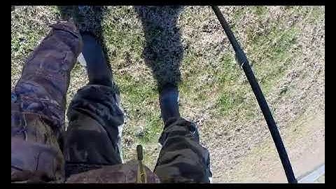 Deus 2 and Deus 1 compared one 1 target in the wild