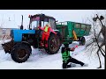 Полицейский на синем тракторе учит СИРЕНОГОЛОВЫЙ для детей. По полям синий трактор ягодки вкусняшки