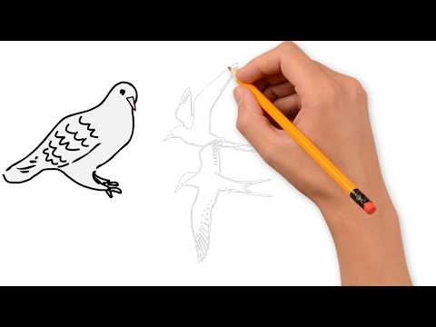 how-bird-color-pencil-drawing-&-coloring-for-kids---coloring-pages-for-children