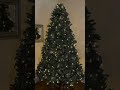 Embrace the holiday season with the 7' Tribeca Spruce Blue with Lights  #kingofchristmas #fypyoutube