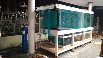 Can พิจิตร - งานระบบ Overflow All Services ตู้ปลา 130 36 42 กระจก 19 มิลเทมเปอร์ จัดเต็มครบทุกวาล์ว