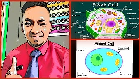 Form 1 Science DLP | Chapter 2 : Cell as a Basic Unit of Life