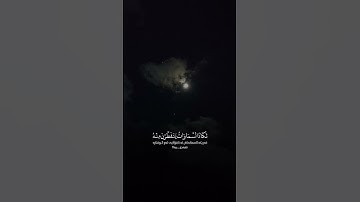 تلاوة عطرة للقارئ محمد اللحيدان 🤍 #القرآن_الكريم #راحة_نفسية