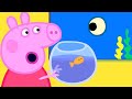 Peppa Pig Official Channel | Peppa Pig Aquarium Special