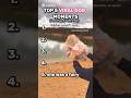 Ranking Top 5 Cutest and Viral Dog Moments