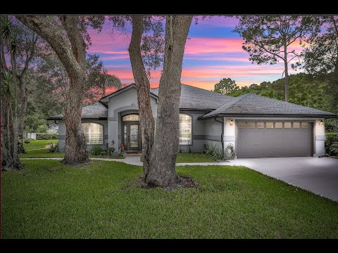 229 Springwood Lane, St Johns, FL home video tour