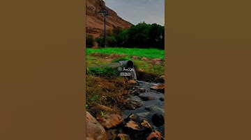 أولم ير الإنسان أنا خلقناه من نطفة|| تلاوة خاشعة🫀//بصوت القارئ صالح اليافعي⏱️ثواني تريح الاعصاب🎧🌿