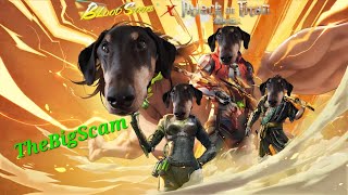 Stream scams no614