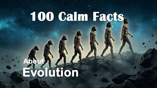 Evolution Explained Gently — Relaxing Facts to Fall Asleep To (next)