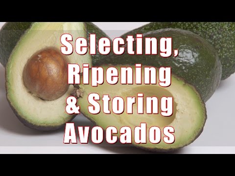 How To Select, Ripen and Store Avocados