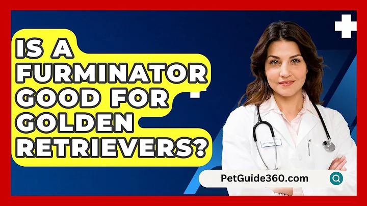 Is A Furminator Good For Golden Retrievers? - PetGuide360.com