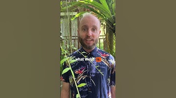 Unlock the Secrets of Web3: Crypto, AI, NFTs & More!